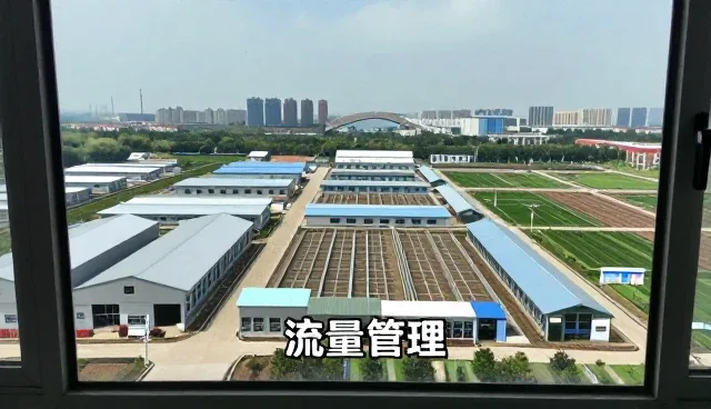内容变现中的常见问题及应对策略分析